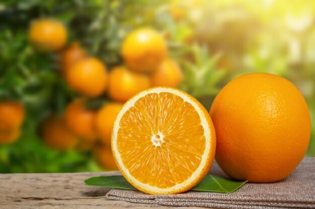 orange from garden 1150 9680